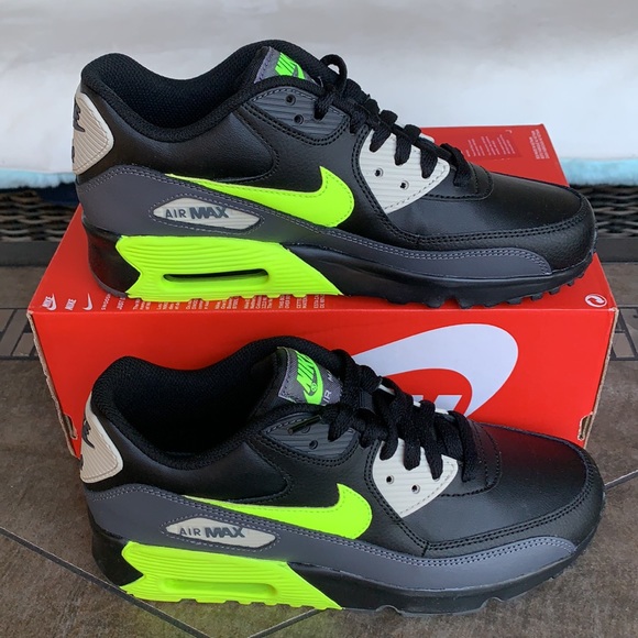 Nike Shoes - NIKE AIR MAX 90 LTR WMNS